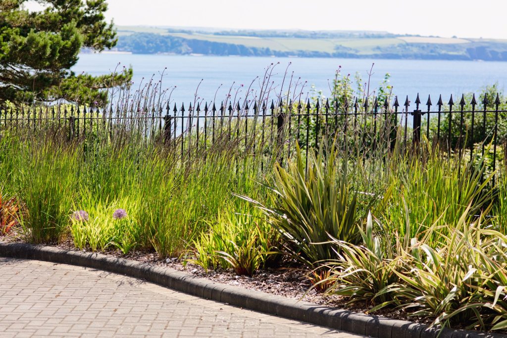 Coastal planting